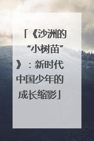 《沙洲的“小树苗”》：新时代中国少年的成长缩影