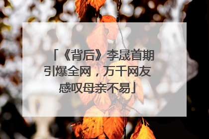 《背后》李晟首期引爆全网，万千网友感叹母亲不易