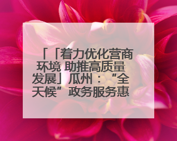 「着力优化营商环境 助推高质量发展」瓜州：“全天候”政务服务惠企便民