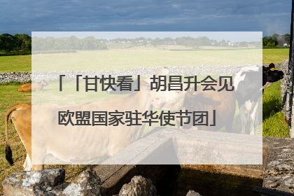 「甘快看」胡昌升会见欧盟国家驻华使节团