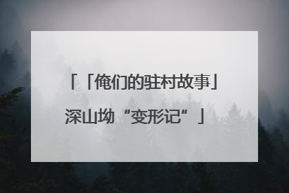 「俺们的驻村故事」深山坳“变形记”