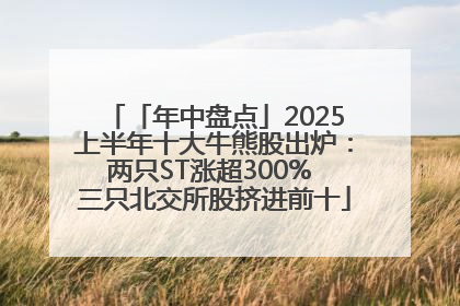 「年中盘点」2025上半年十大牛熊股出炉：两只ST涨超300% 三只北交所股挤进前十