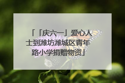「庆六一」爱心人士到潍坊潍城区青年路小学捐赠物资