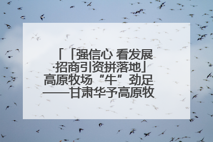 「强信心 看发展·招商引资拼落地」高原牧场“牛”劲足——甘肃华予高原牧场高标准奶牛肉牛养殖项目一线见闻