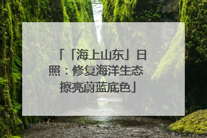 「海上山东」日照：修复海洋生态 擦亮蔚蓝底色