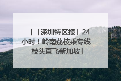 「深圳特区报」24小时！岭南荔枝乘专线 枝头直飞新加坡