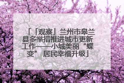 「观察」兰州市皋兰县多举措推进城市更新工作——小城美丽“蝶变” 居民幸福升级