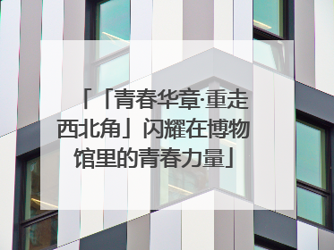 「青春华章·重走西北角」闪耀在博物馆里的青春力量