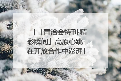 「青洽会特刊·精彩瞬间」高原心跳 在开放合作中澎湃
