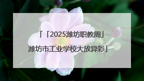 「2025潍坊职教周」潍坊市工业学校大放异彩