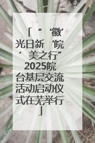 “‘徽’光日新‘皖’美之行”2025皖台基层交流活动启动仪式在芜举行