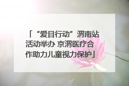 “爱目行动”渭南站活动举办 京渭医疗合作助力儿童视力保护