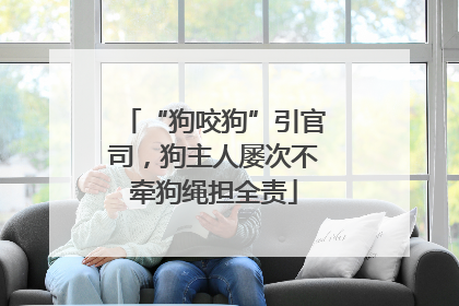 “狗咬狗”引官司，狗主人屡次不牵狗绳担全责