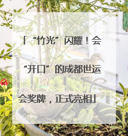 “竹光”闪耀！会“开口”的成都世运会奖牌，正式亮相