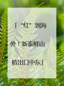 “红”到海外！新泰鲜山楂出口中东