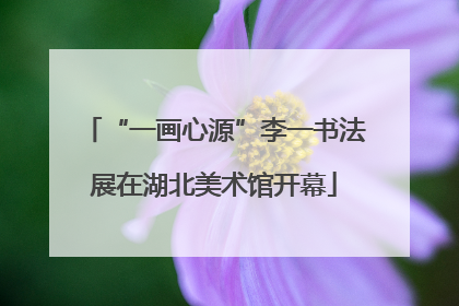 “一画心源”李一书法展在湖北美术馆开幕