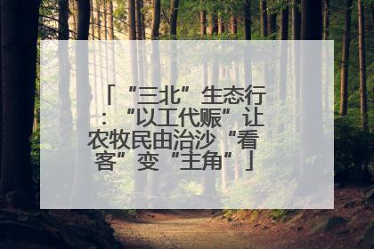 “三北”生态行：“以工代赈”让农牧民由治沙“看客”变“主角”