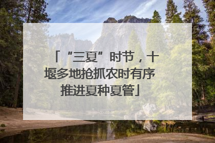 “三夏”时节，十堰多地抢抓农时有序推进夏种夏管