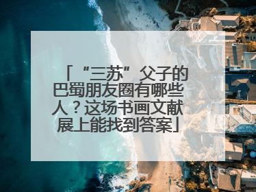 “三苏”父子的巴蜀朋友圈有哪些人？这场书画文献展上能找到答案