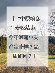 “中原粮仓”麦收结束 今年河南小麦产量咋样？品质如何？