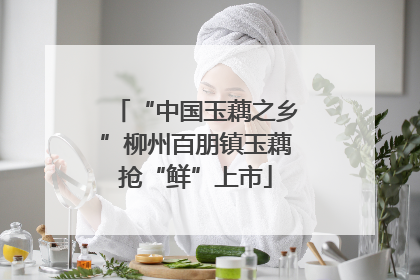 “中国玉藕之乡”柳州百朋镇玉藕抢“鲜”上市