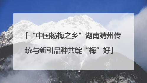 “中国杨梅之乡”湖南靖州传统与新引品种共绽“梅”好