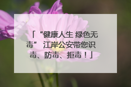 “健康人生 绿色无毒” 江岸公安带您识毒、防毒、拒毒！