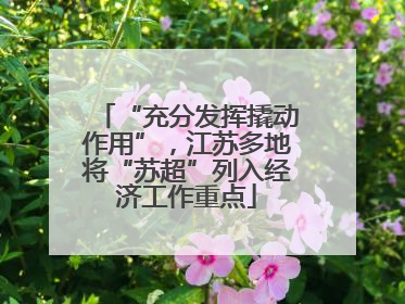“充分发挥撬动作用”，江苏多地将“苏超”列入经济工作重点