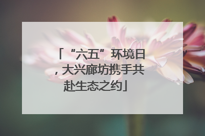 “六五”环境日，大兴廊坊携手共赴生态之约