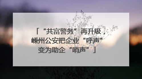 “共富警务”再升级，嵊州公安把企业“呼声”变为助企“哨声”