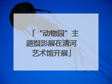 “动物园”主题摄影展在清河艺术馆开展