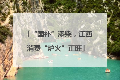 “国补”添柴，江西消费“炉火”正旺