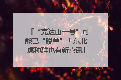 “完达山一号”可能已“脱单”！东北虎种群也有新喜讯