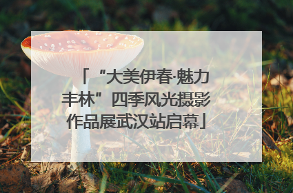 “大美伊春·魅力丰林”四季风光摄影作品展武汉站启幕
