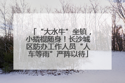 “大水牛”坐镇，小撬棍随身！长沙城区防办工作人员“人车等雨”严阵以待