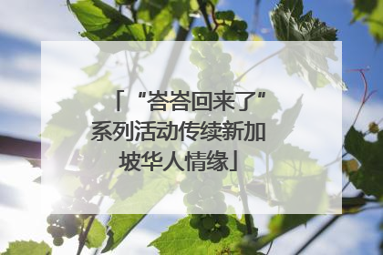 “峇峇回来了”系列活动传续新加坡华人情缘