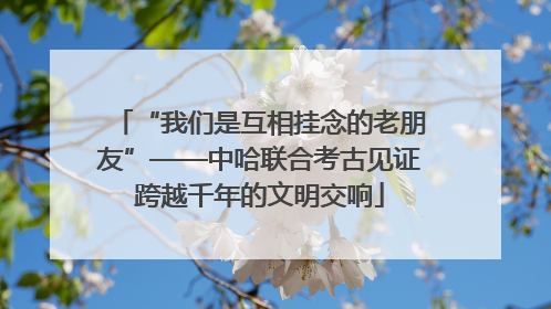 “我们是互相挂念的老朋友”——中哈联合考古见证跨越千年的文明交响