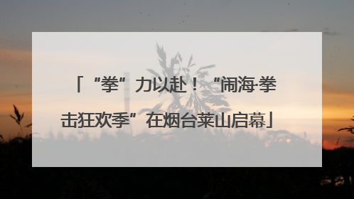“拳”力以赴！“闹海·拳击狂欢季”在烟台莱山启幕