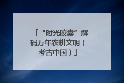 “时光胶囊”解码万年农耕文明（考古中国）