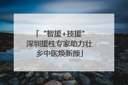 “智援+技援” 深圳援桂专家助力壮乡中医焕新颜