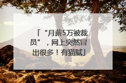 “月薪5万被裁员”，网上突然冒出很多！有猫腻