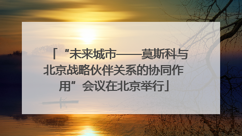“未来城市——莫斯科与北京战略伙伴关系的协同作用”会议在北京举行