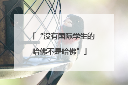 “没有国际学生的哈佛不是哈佛”