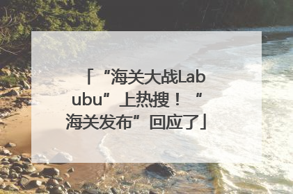 “海关大战Labubu”上热搜！“海关发布”回应了