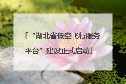 “湖北省低空飞行服务平台”建设正式启动