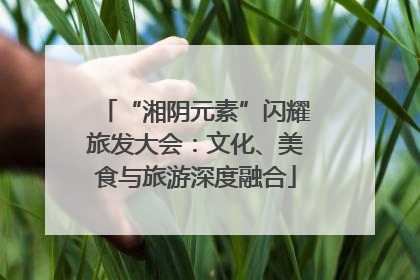 “湘阴元素”闪耀旅发大会：文化、美食与旅游深度融合