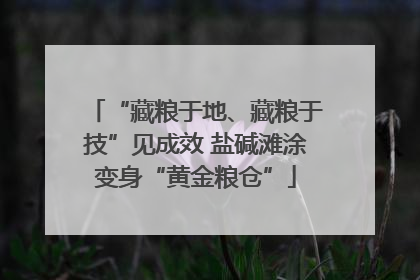 “藏粮于地、藏粮于技”见成效 盐碱滩涂变身“黄金粮仓”