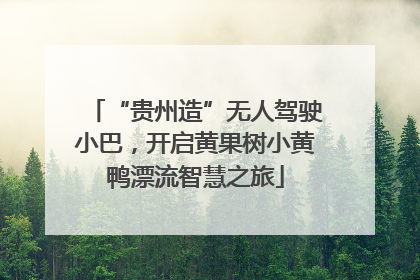 “贵州造”无人驾驶小巴，开启黄果树小黄鸭漂流智慧之旅