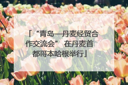 “青岛—丹麦经贸合作交流会” 在丹麦首都哥本哈根举行