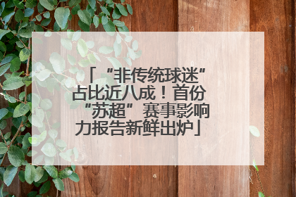 “非传统球迷”占比近八成！首份“苏超”赛事影响力报告新鲜出炉
